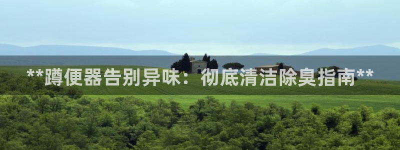 Z6尊龙老版