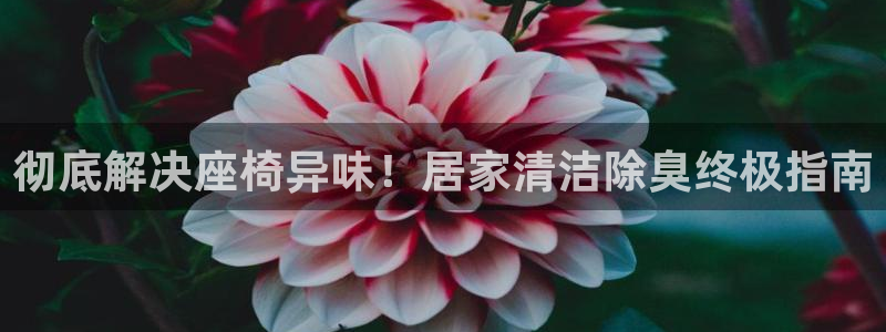 尊龙人生就是博ag旗舰厅