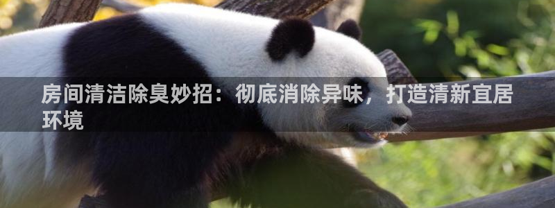 尊龙公司
