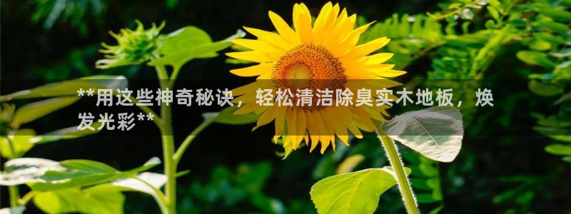 尊龙人生就是一博!