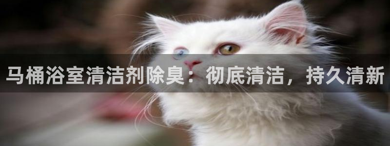 尊龙app下载官网