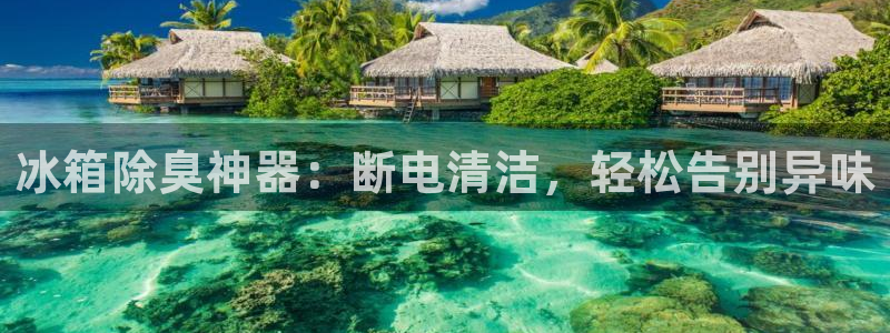 尊龙凯时输了100万