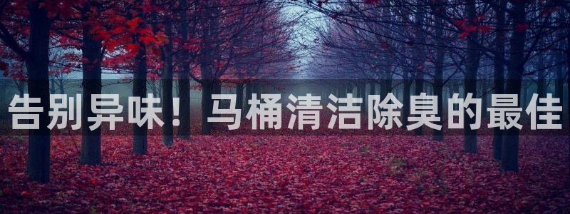尊龙凯时网站赌愽是真的吗