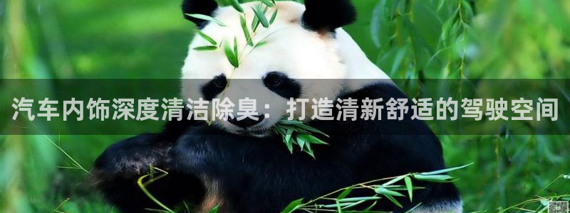 尊龙凯时旗舰厅百家乐下载