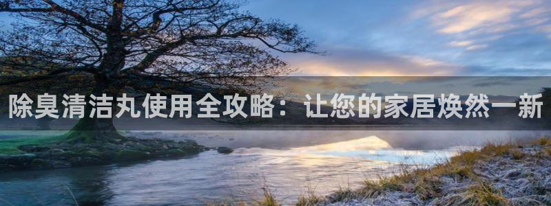 尊龙官方网站