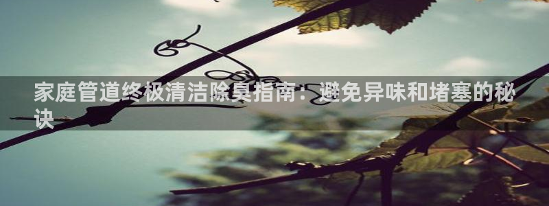 尊龙AG旗舰厅官网