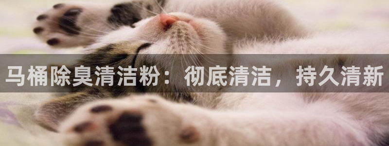 尊龙凯时ag旗舰厅官方网站