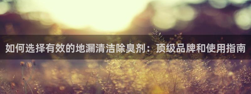 尊龙平台有谁玩过