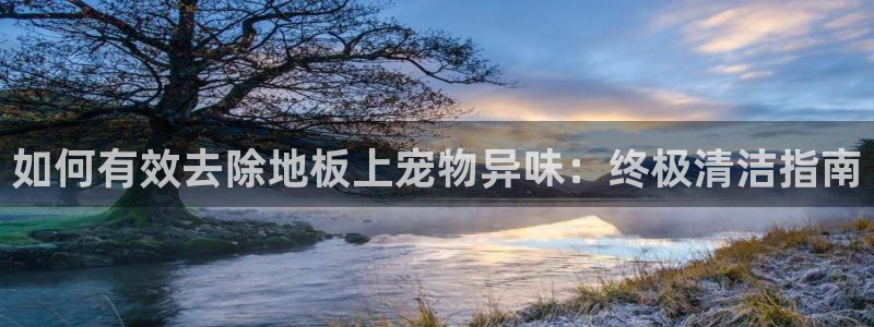 ag尊龙怎么样