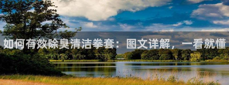 尊龙体育电竞官网