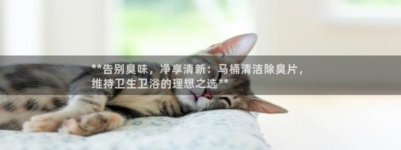 尊龙版末代皇帝