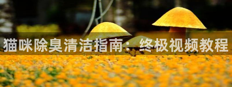 尊龙凯时台子