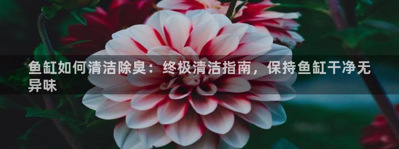 尊龙凯时能做退米么