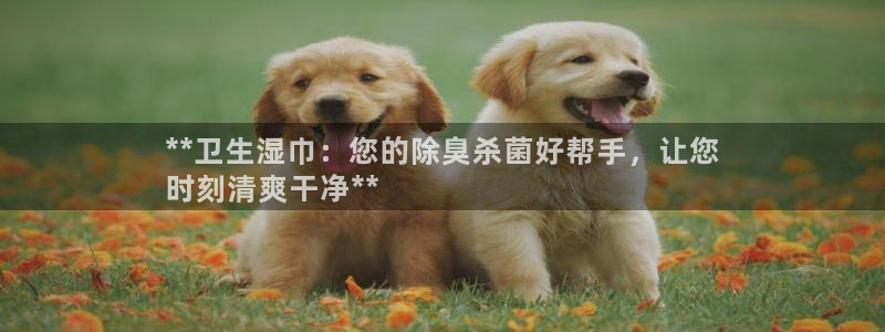 凯时国际最新