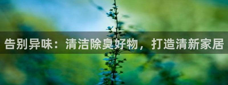尊龙凯时vip