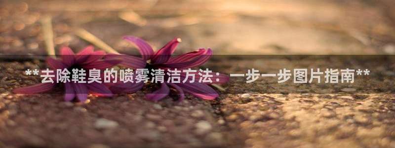 尊龙凯时网页版