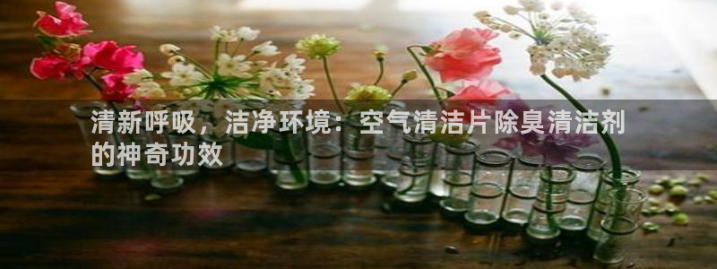 尊龙d88官网确来就送38