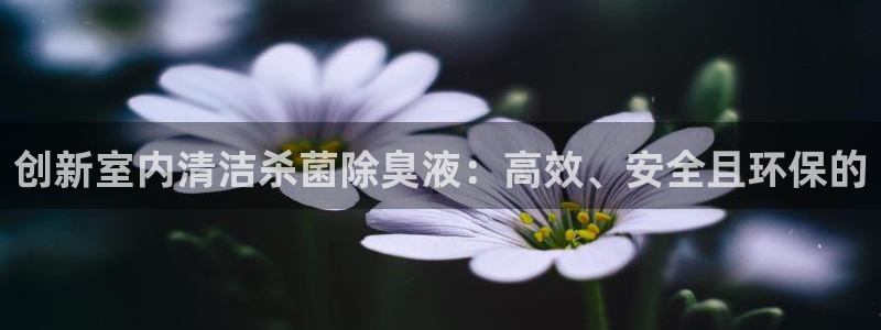 凯时K8国际