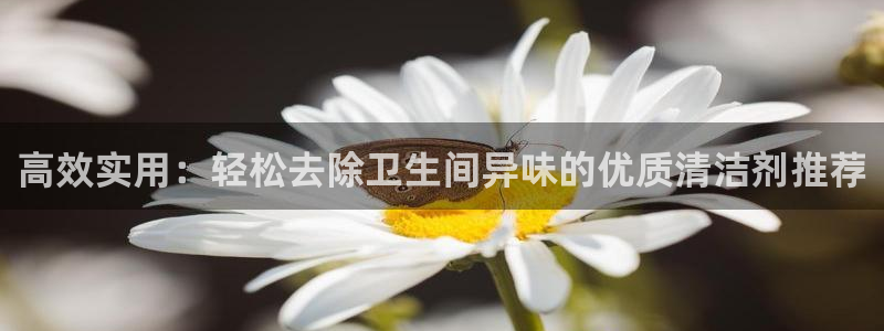 尊龙凯时赢不了