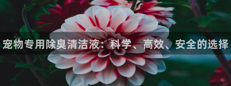 尊龙下载推荐网站