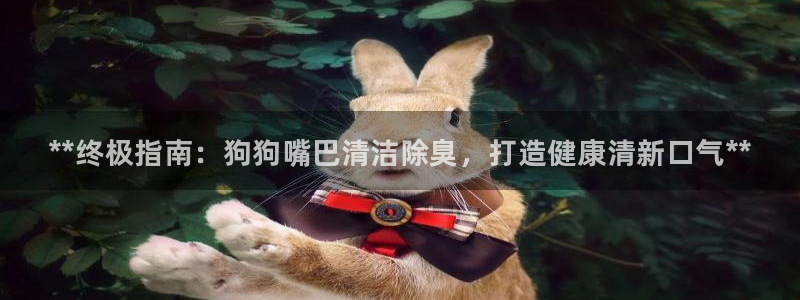 尊龙体育电竞官网：**终极指南：狗狗嘴巴清洁除臭，打造健